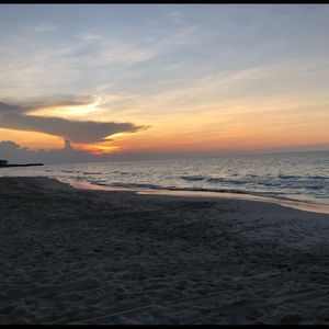 Meet your Posher, Mackenzie